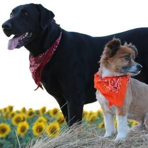 Meet your Posher, Jamie